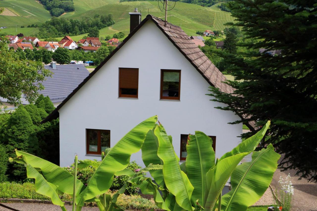 Ferienwohnungen Schneider Durbach Zewnętrze zdjęcie